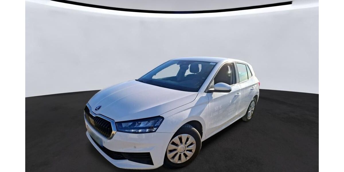 Skoda Fabia 38.614 km 11.725 &euro; Hagen 58091