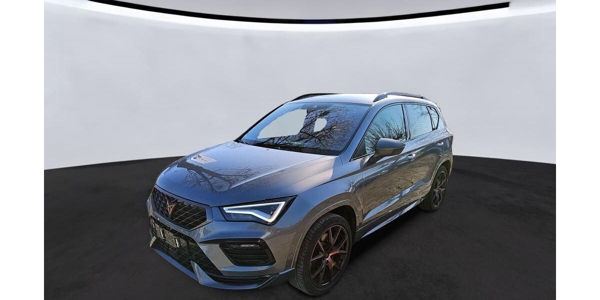 Cupra Ateca 74.113 km 29.415 &euro; Hagen 58091