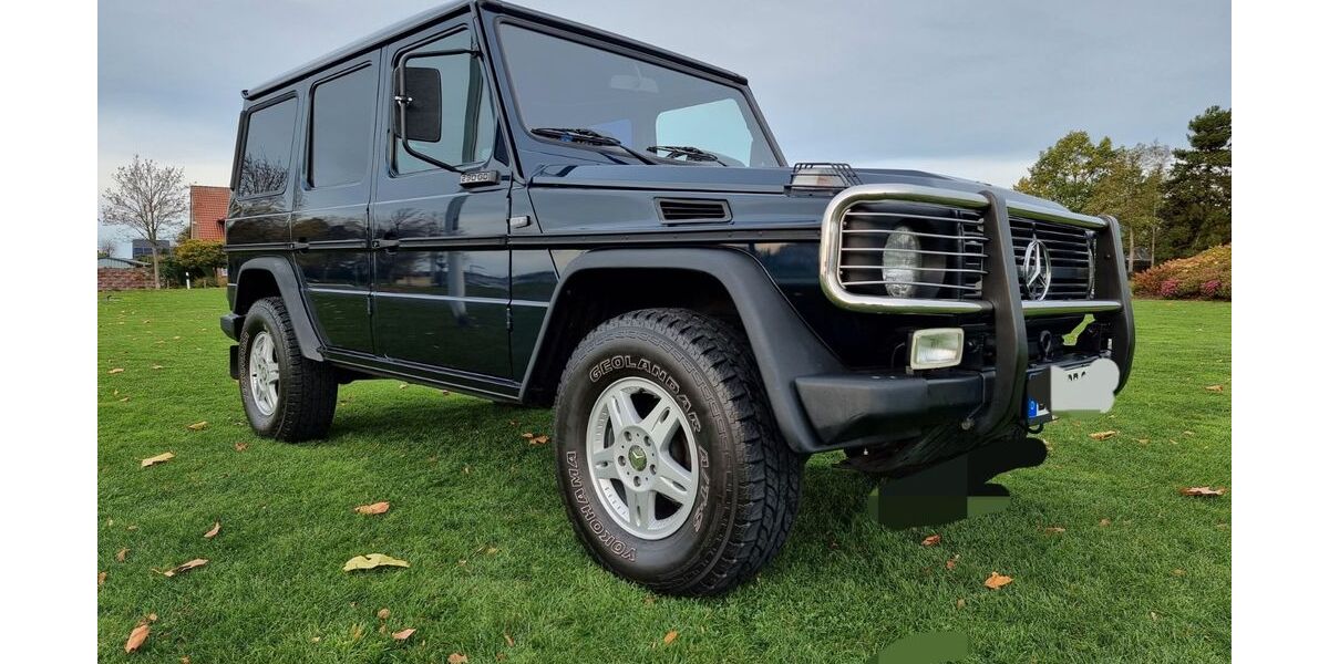 Mercedes-Benz G 290 205.000 km 65.900 &euro; Lünen 44534