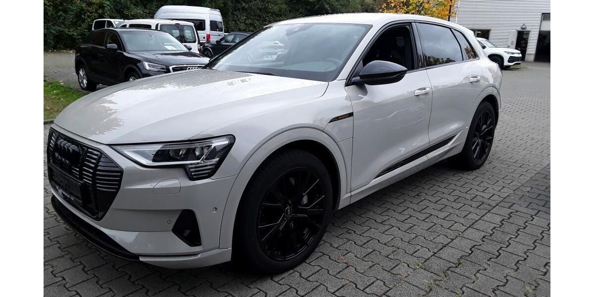 Audi e-tron 49.998 km 29.325 &euro; Hagen 58091