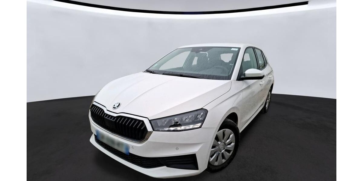 Skoda Fabia 54.961 km 11.695 &euro; Hagen 58091