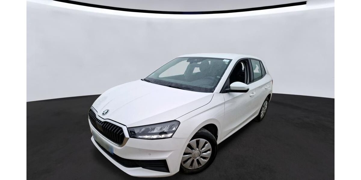 Skoda Fabia 49.056 km 11.700 &euro; Hagen 58091