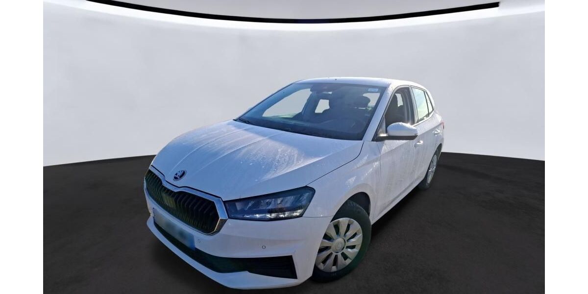 Skoda Fabia 41.820 km 11.700 &euro; Hagen 58091