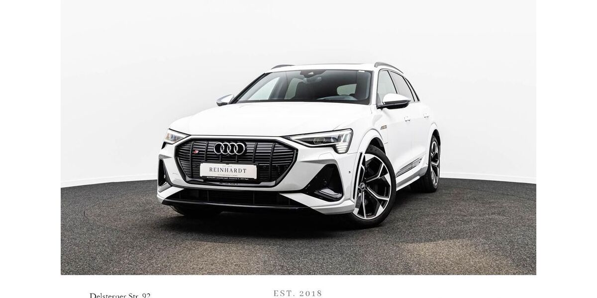Audi e-tron 24.171 km 45.883 &euro; Hagen 58091