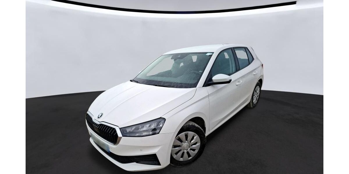 Skoda Fabia 36.403 km 11.690 &euro; Hagen 58091