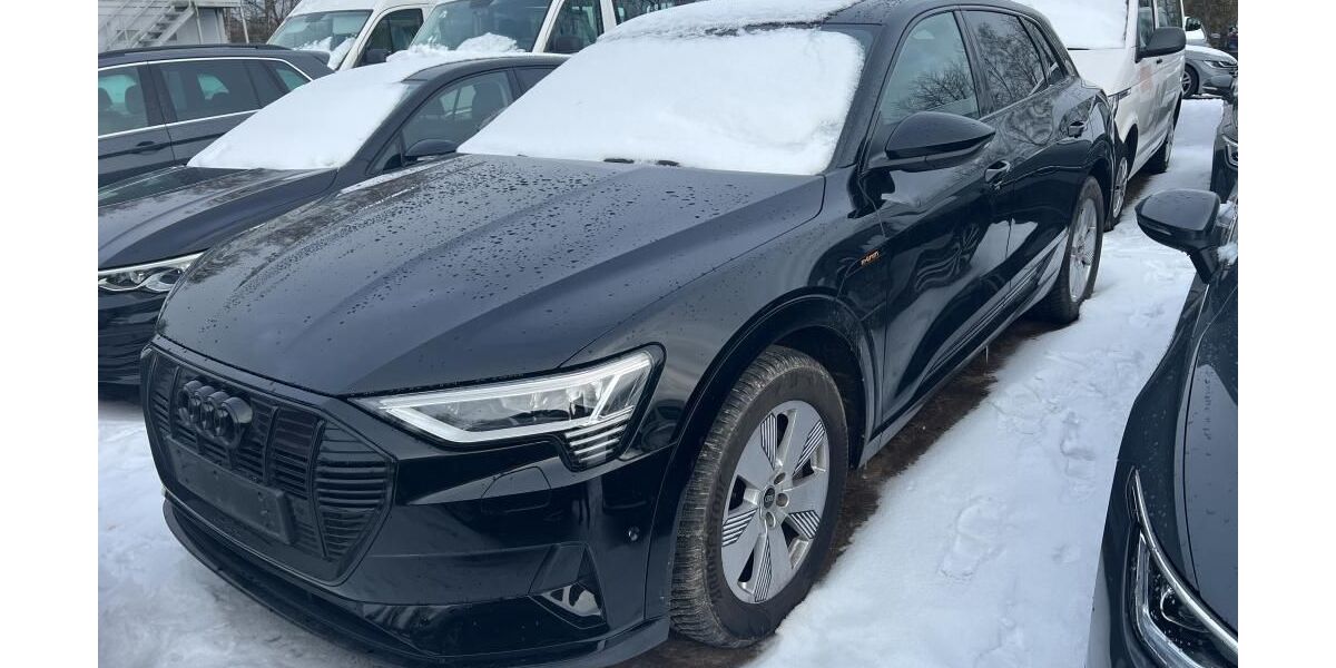 Audi e-tron 61.930 km 37.555 &euro; Hagen 58091