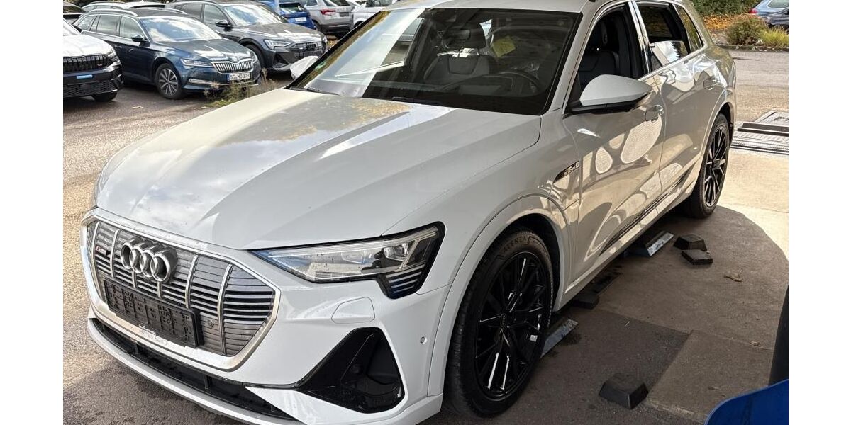 Audi e-tron 69.511 km 35.100 &euro; Hagen 58091