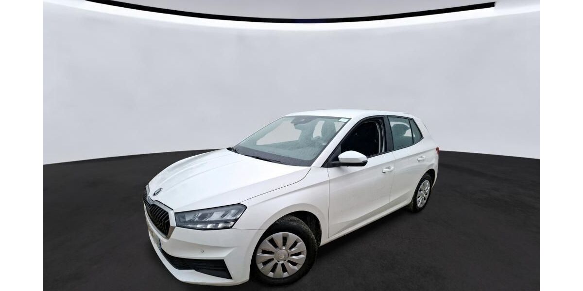 Skoda Fabia 51.329 km 11.695 &euro; Hagen 58091