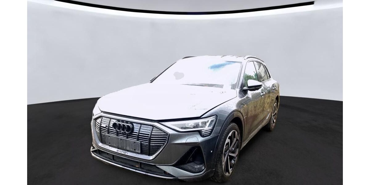 Audi e-tron 62.727 km 34.620 &euro; Hagen 58091
